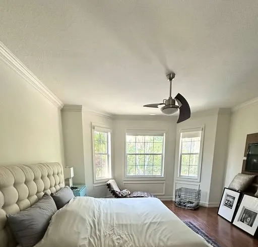 Bedroom repaint, walls and trim